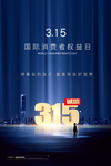 315海报