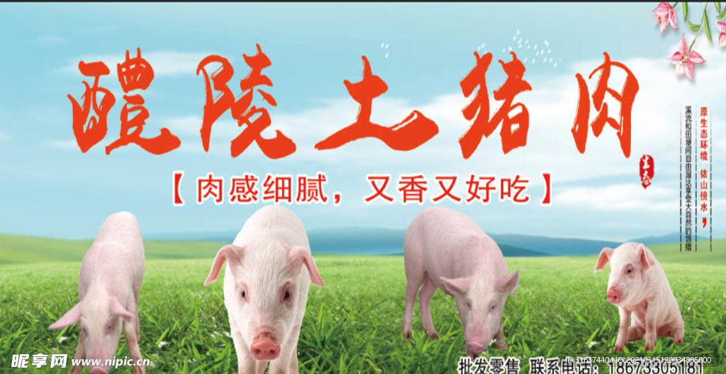 醴陵土猪肉