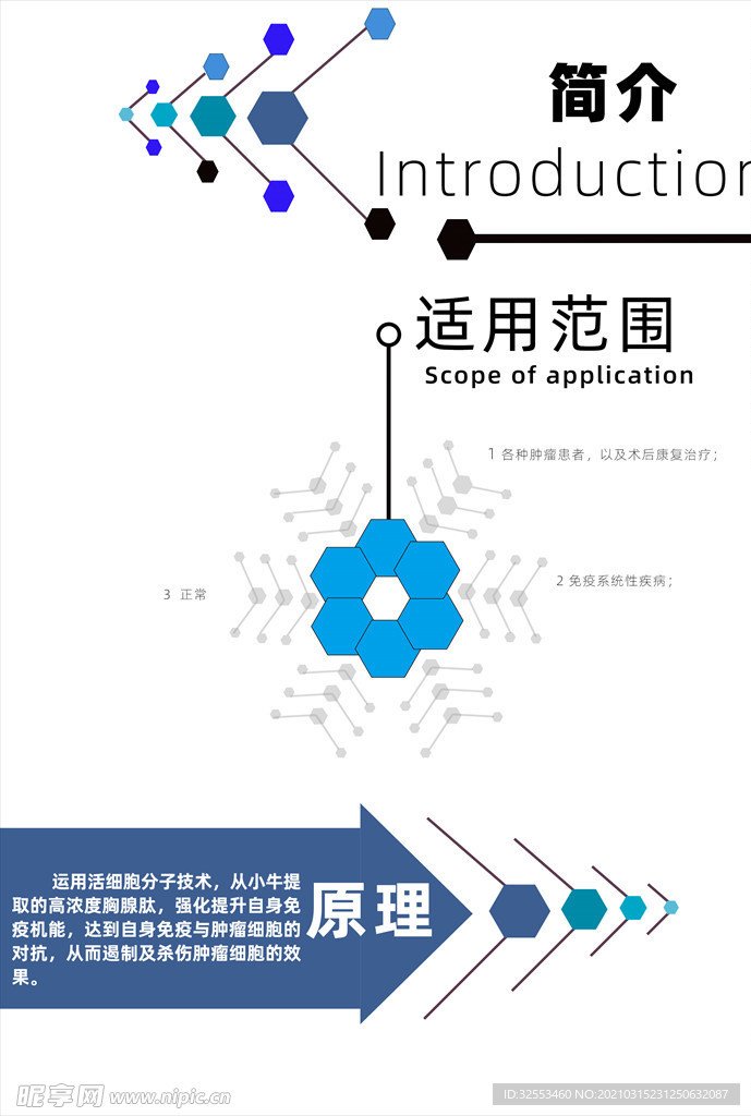 生物活性肽分子单页