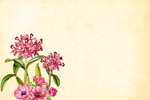 手绘花朵