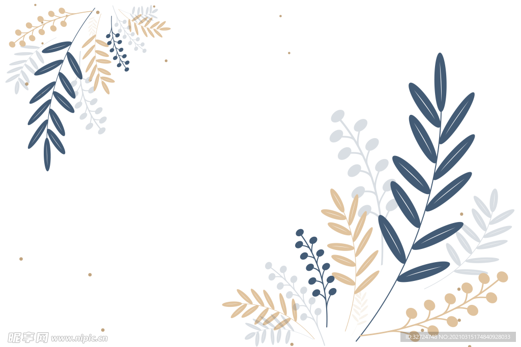 植物插画
