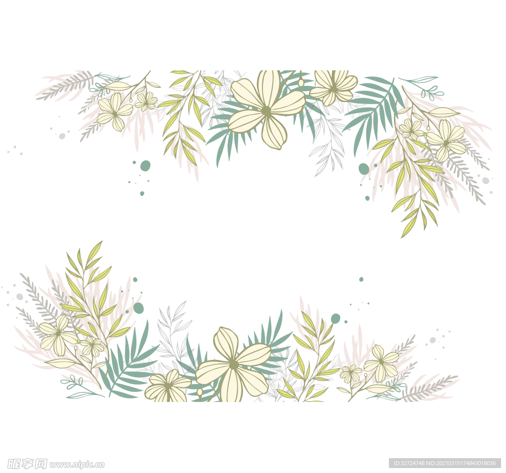 植物插画