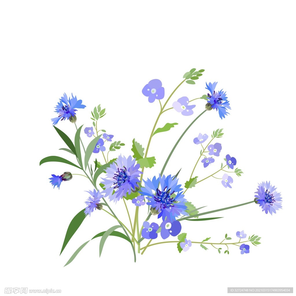 插画花朵