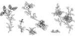 线描花