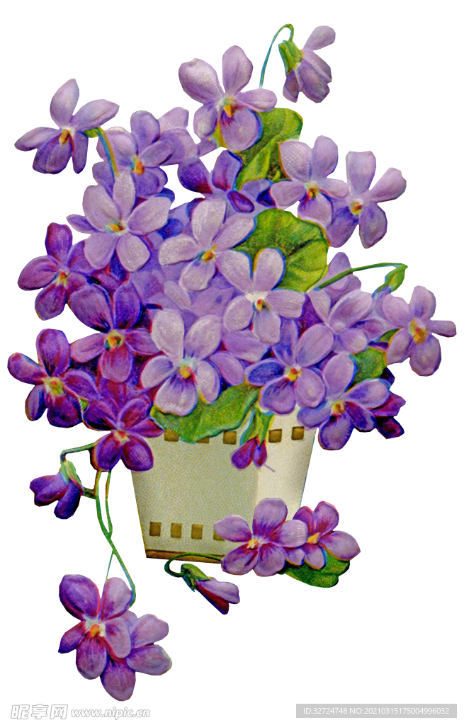 手绘花朵