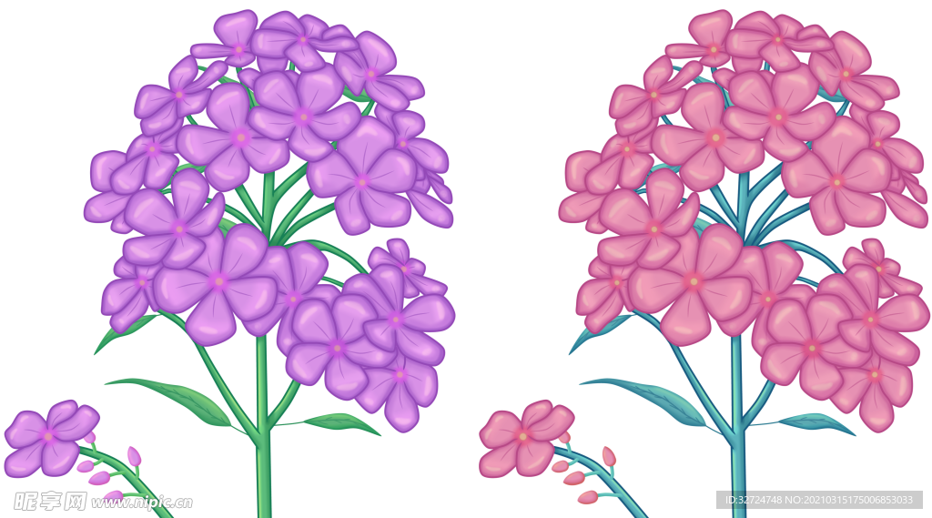 花朵插画