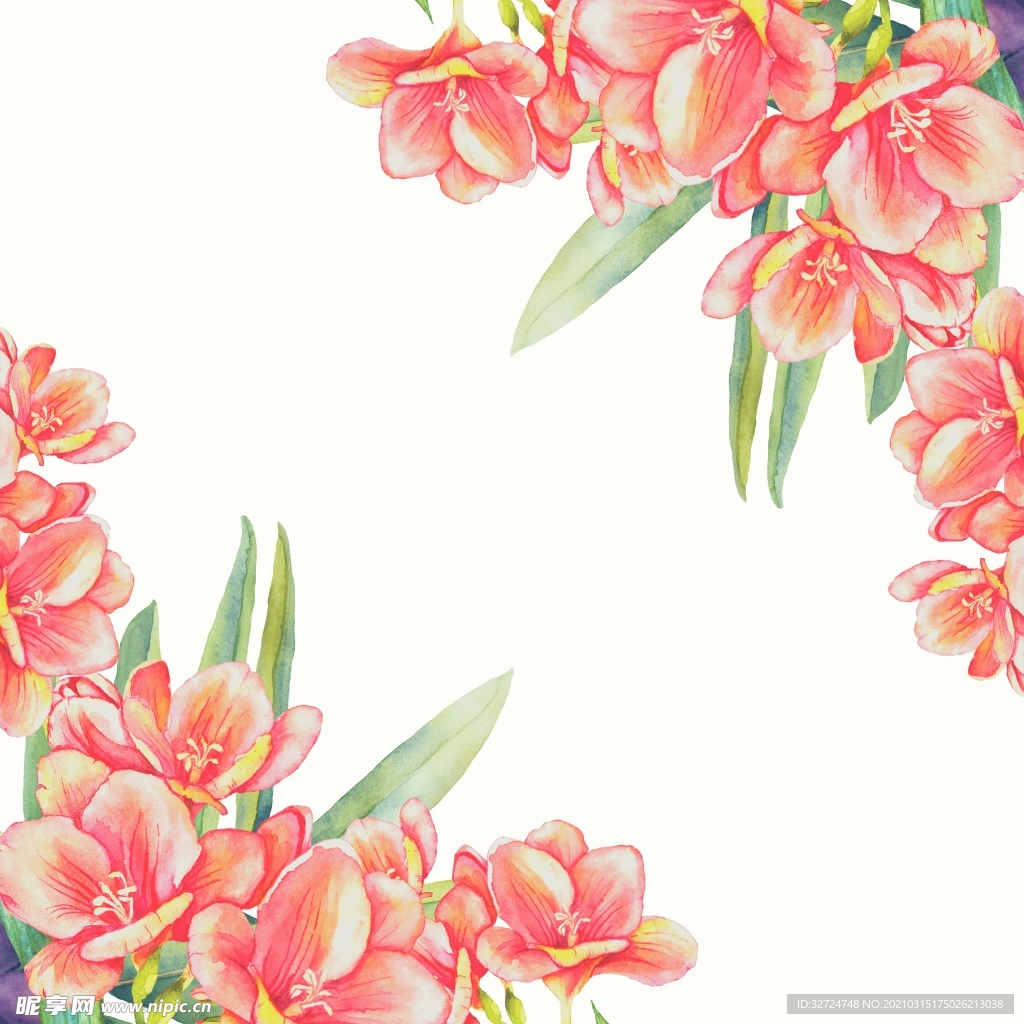 插画花朵