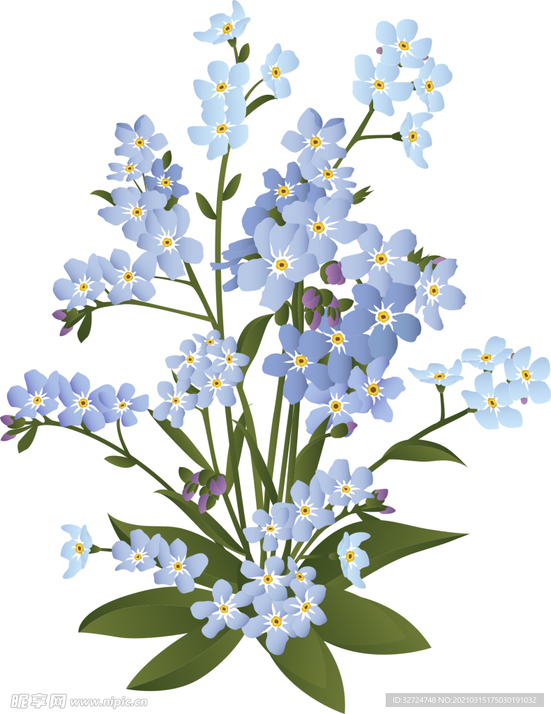 手绘花朵