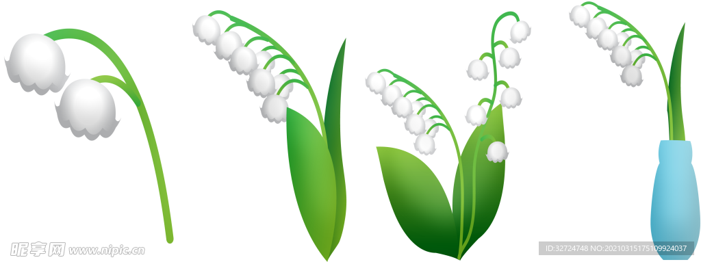 植物插画