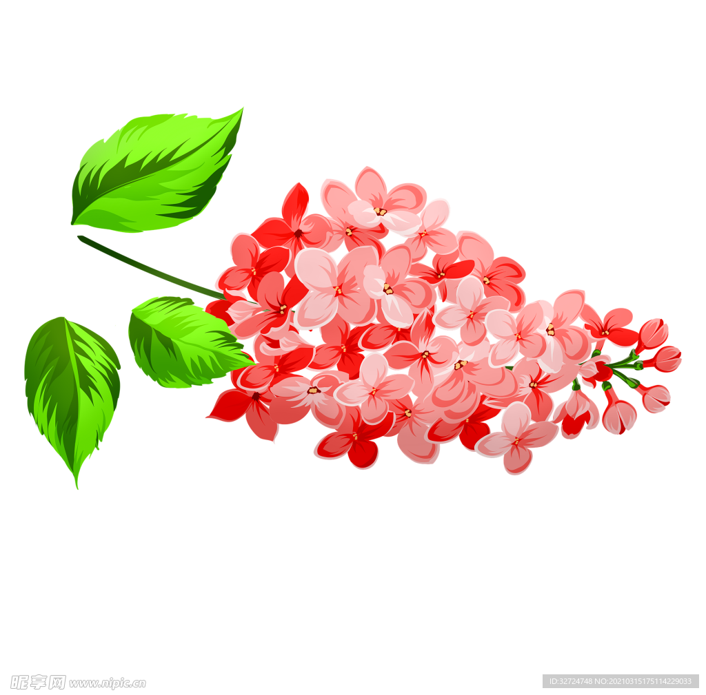 插画花朵