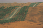 蜿蜒的公路
