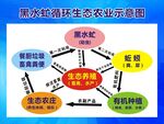 黑水虻循环生态农业示意图