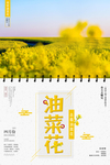 清新