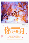 清新