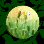 小满
