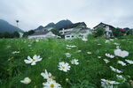 田园风光