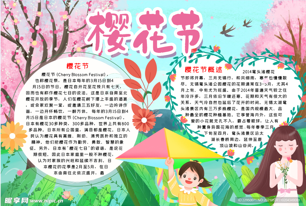 樱花小报