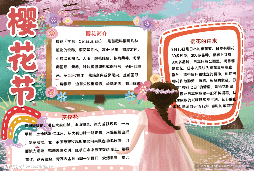 樱花小报