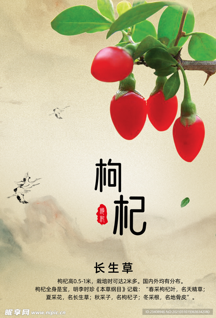 枸杞海报