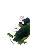 荷花池塘元素