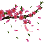桃花背景素材