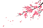 桃花背景素材