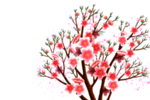 桃花背景素材