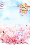 桃花背景素材