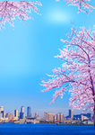桃花背景素材