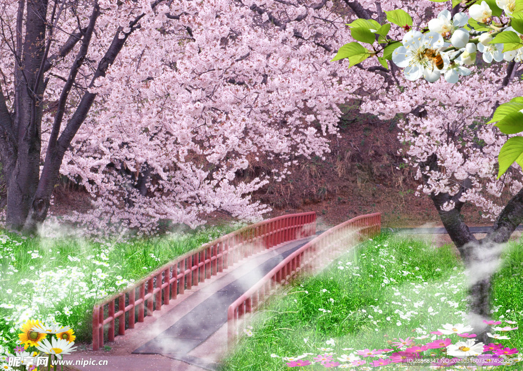 桃花背景素材