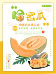 简约清新夏季水果哈密瓜促销海报
