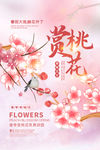 桃花节