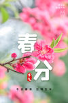 春分