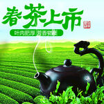 春茶上市海报
