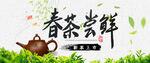 春茶尝鲜