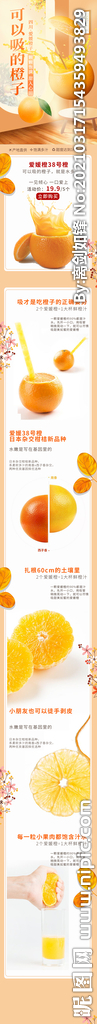 电商淘宝爱媛橙子柑橘水果生鲜