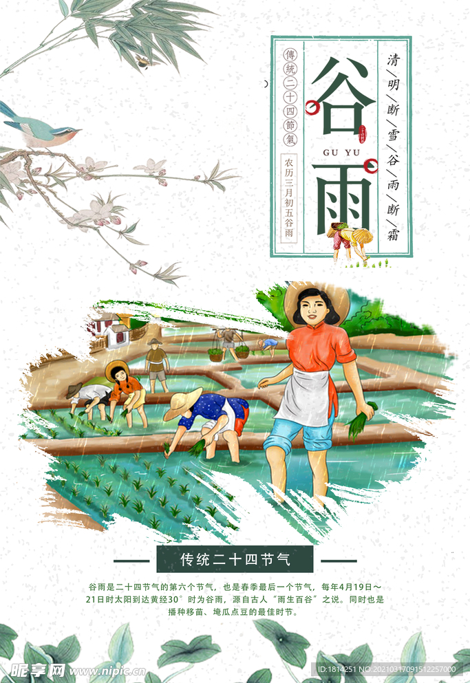 谷雨
