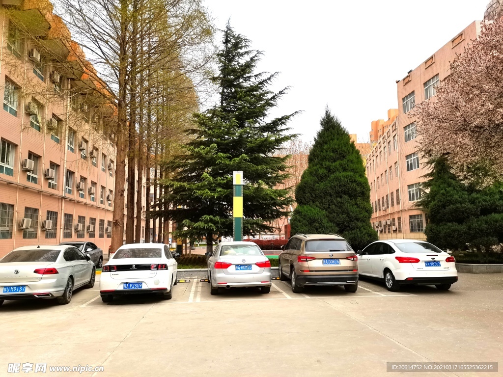 美丽的校园风景