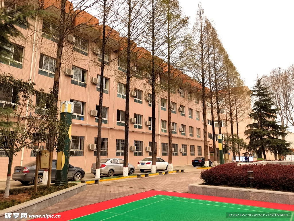 美丽的校园风景