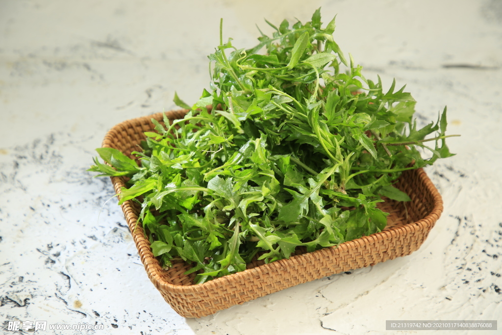 野菜摄影