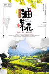 油菜花