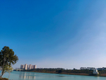 湖边的风景