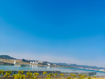 江边风景