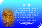 银杏