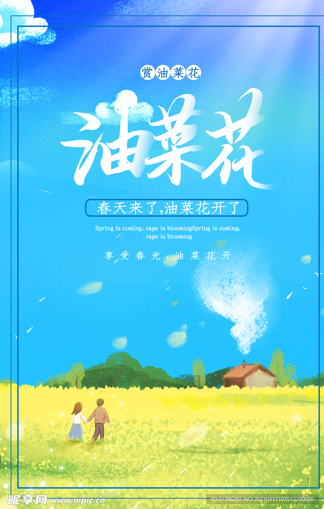 油菜花
