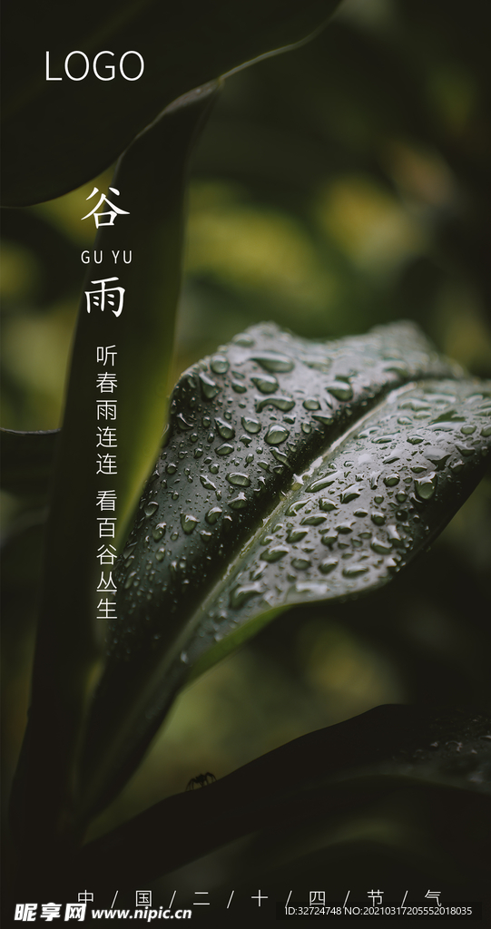 谷雨