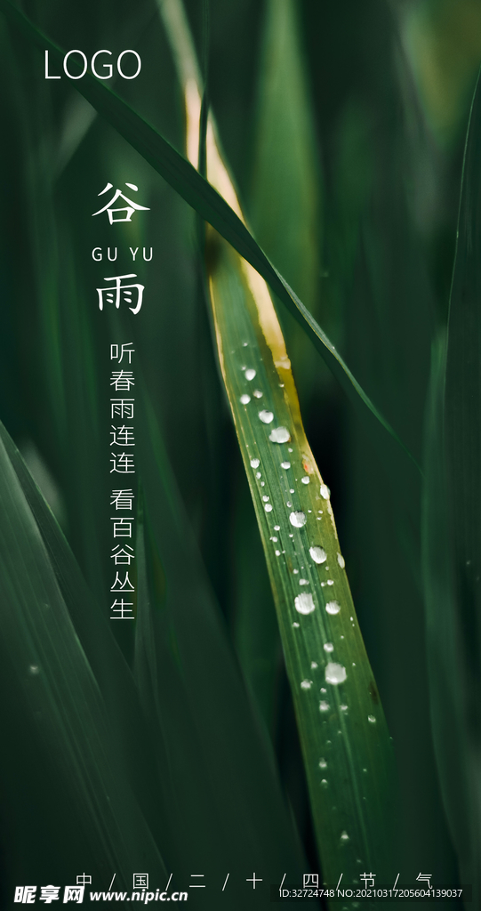 谷雨