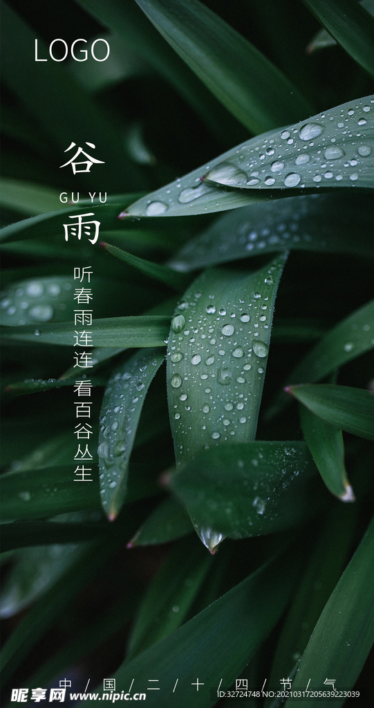 谷雨