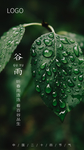 谷雨