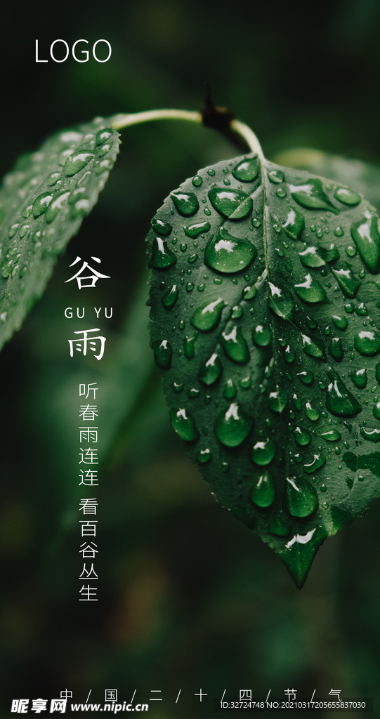 谷雨